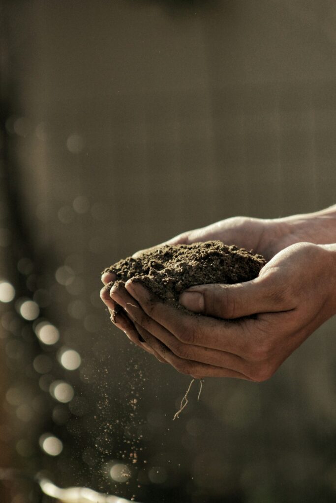 Two hands holding a pile of soil.
