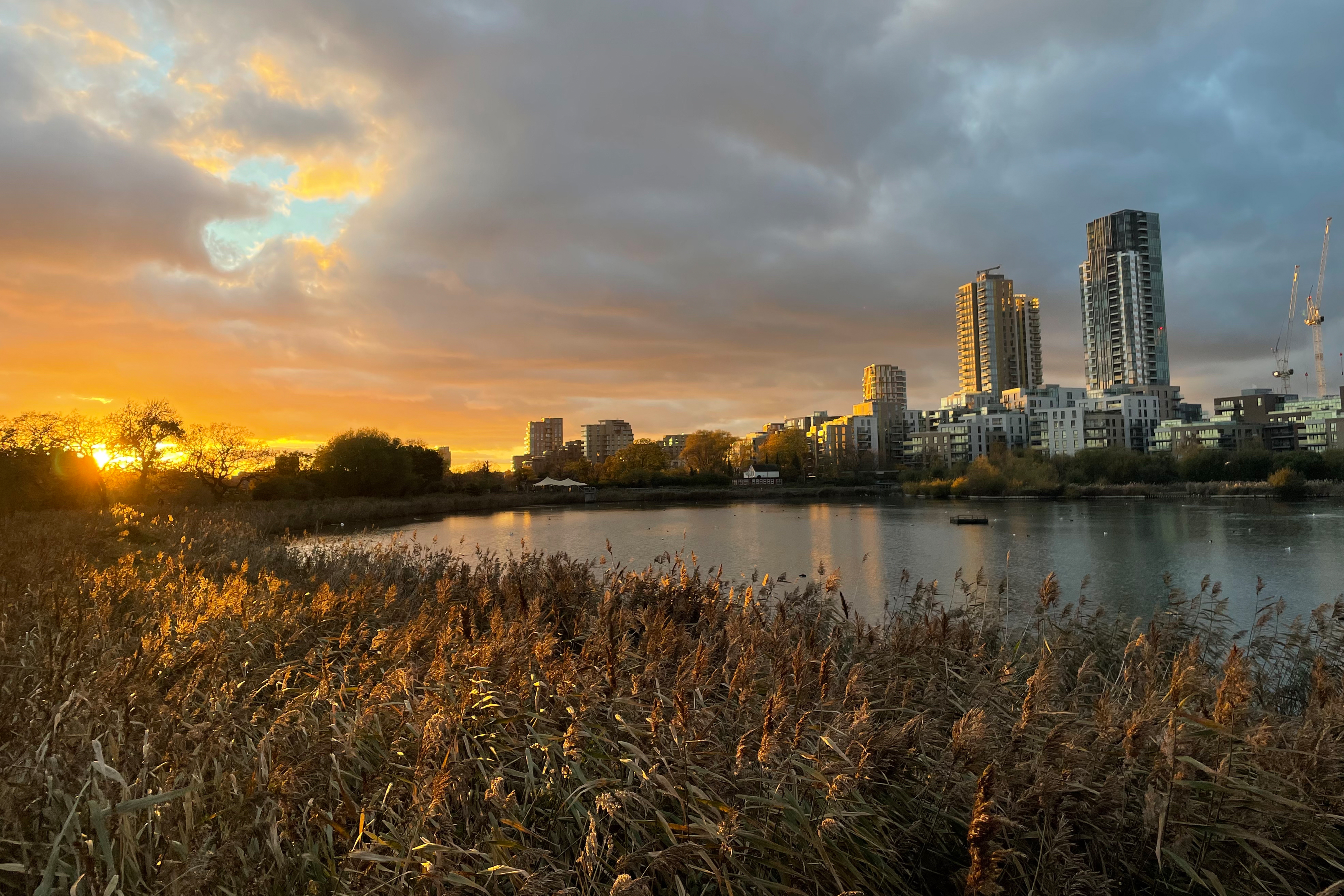 The sun sets over a lake with reeds in the foreground and blocks of flats in the background.