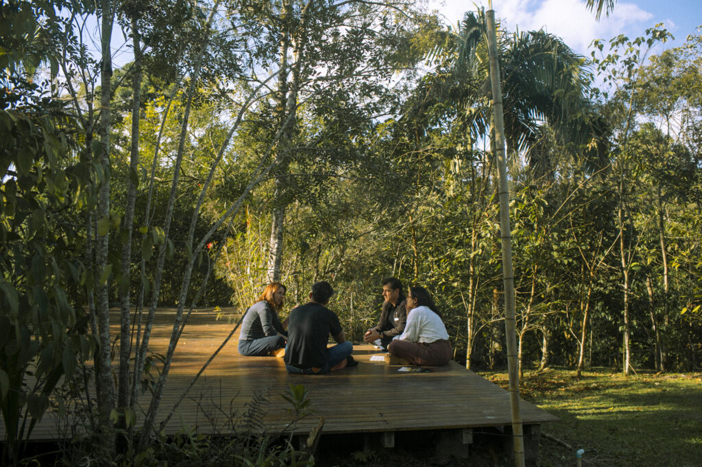 Four people sit in a circle, deep in discussion, under tropical trees.