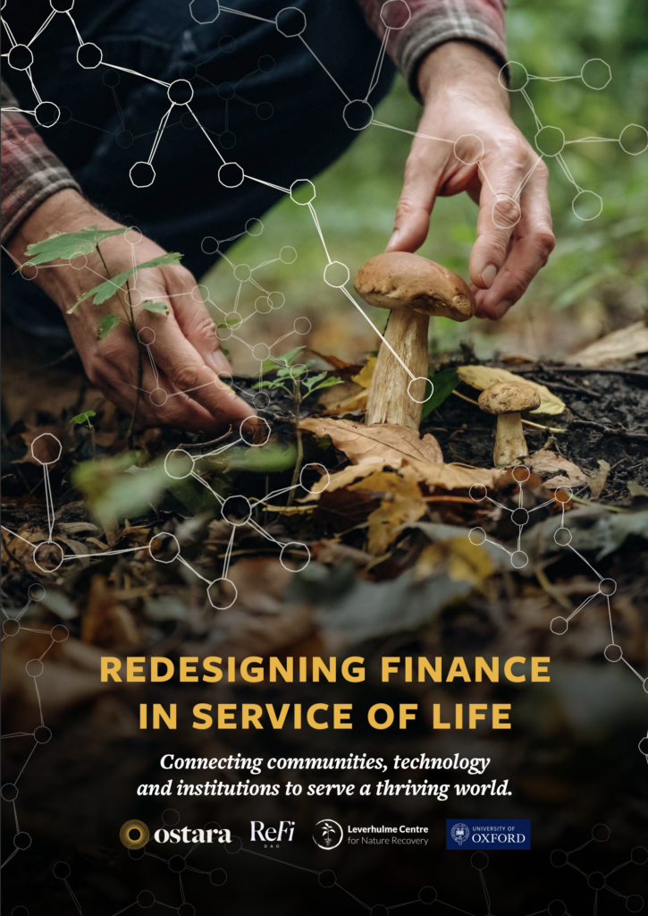 Redesigning Finance in Service of Life - Report Cover - Ostara The report cover for Redesigning Finance in Service of Life - Publication by Ostara
